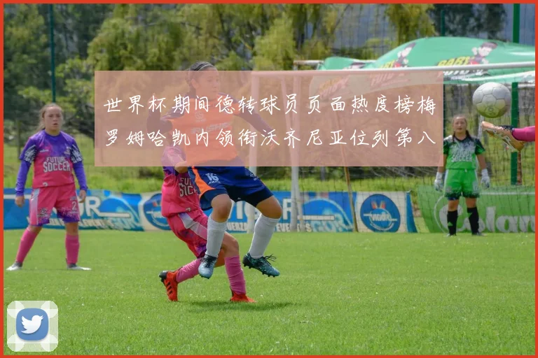 世界杯期间德转球员页面热度榜梅罗姆哈凯内领衔沃齐尼亚位列第八