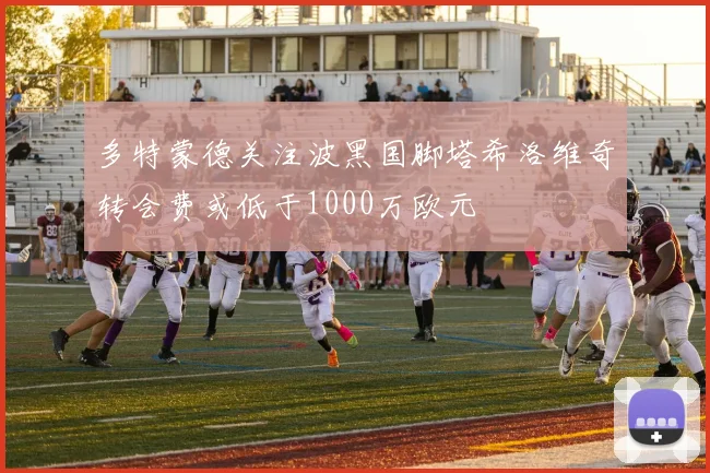多特蒙德关注波黑国脚塔希洛维奇转会费或低于1000万欧元
